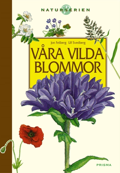 Våra vilda blommor; Jon Feilberg, Ulf Svedberg; 2000