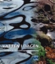 Vatten i dagen - exempel på ekologisk dagvattenhantering; Gabriella Lönngren; 2001