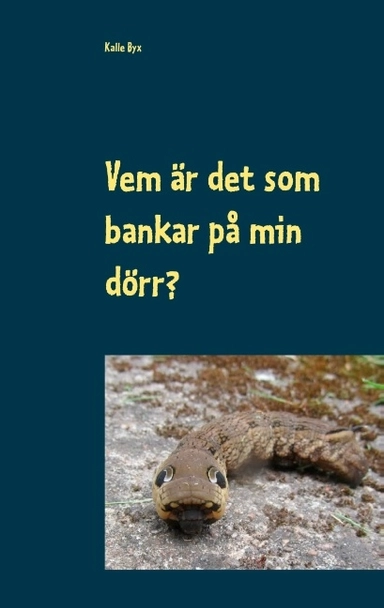 Vem är det som bankar på min dörr?; Kalle Byx; 2020