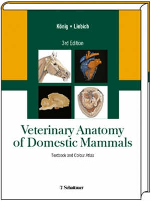 Veterinary anatomy of domestic mammals : textbook and colour atlas; Horst Erich König, Hans-Georg Liebich, Hermann Bragulla; 2007