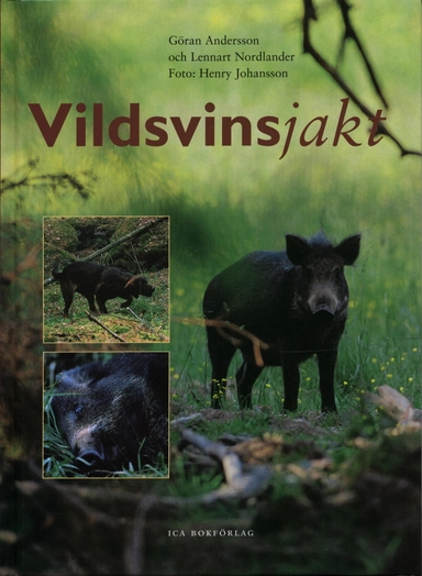 Vildsvinsjakt
