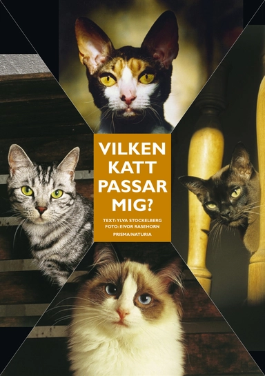 Vilken katt passar mig? : Ingen katt är den andra lik; Ylva Stockelberg; 2004