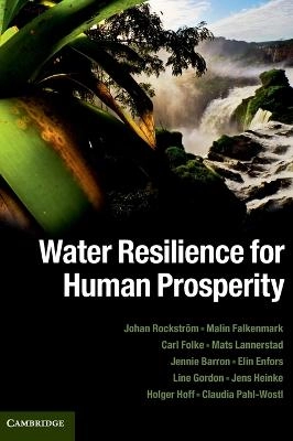 Water resilience for human prosperity