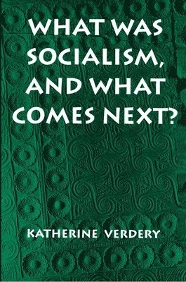 What was socialism, and what comes next?; Katherine Verdery; 1996
