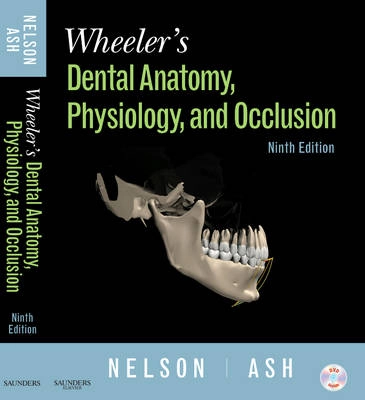 Wheeler's dental anatomy, physiology, and occlusion; Stanley J. Nelson; 2010