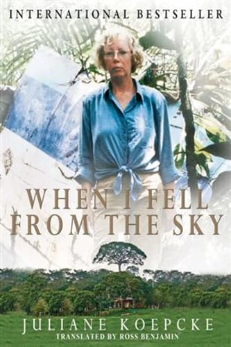 When I Fell from the Sky; Juliane Diller; 2011
