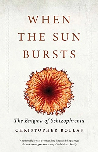 When the sun bursts : the enigma of schizophrenia; Christopher Bollas; 2015