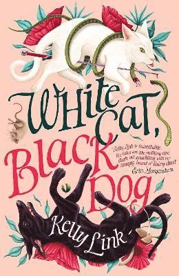 White cat, black dog