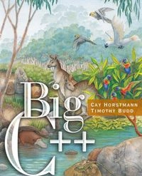 WIE Big C++ Intl Ed