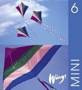 Wings Mini. 6, Elevbok; Dominic Summerton; 2007