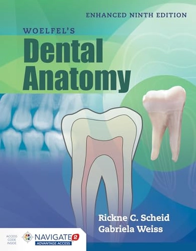 Woelfel's dental anatomy; Rickne C. Scheid; 2017