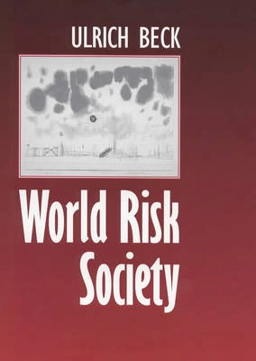 World risk society