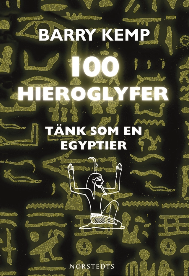 100 hieroglyfer :tänk som en egyptier; Barry Kemp; 2006
