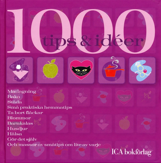 1000 tips & idéer; Jonas Larsson, Liselotte Froslin; 2005