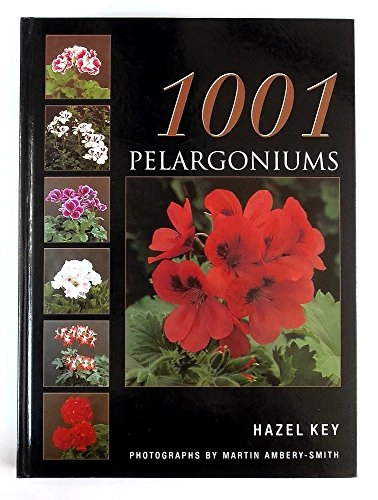 1001 pelargoniums; Hazel Key; 2000