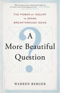 A more beautiful question : the power of inquiry to spark breakthrough ideas; Warren Berger; 2014