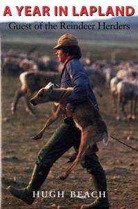 A year in Lapland : guest of the reindeer herders; Hugh Beach; 2001
