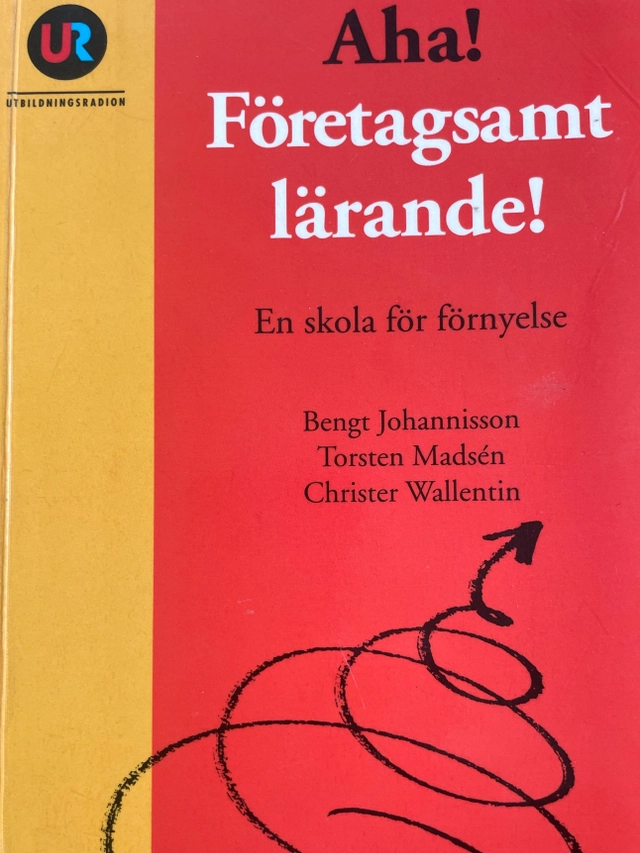 Aha! Företagsamt lärande : en skola för förnyelse; Bengt Johannisson; 2000