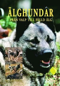 Älghundar - Från valp till fälld älg; Kåre Vidar Pedersen; 2006