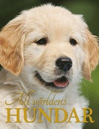 All världens hundar; Nicola Jane Swinney; 2017