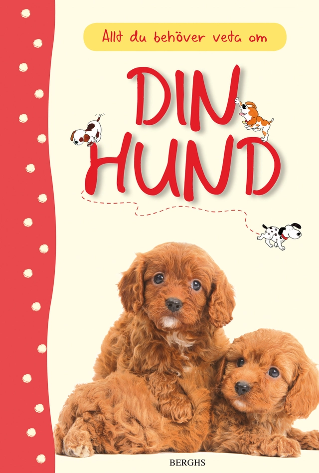 Allt du behöver veta om din hund; Katherine Starke; 2013