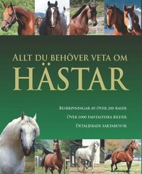 Allt du behöver veta om hästar; Debby Sly; 2009