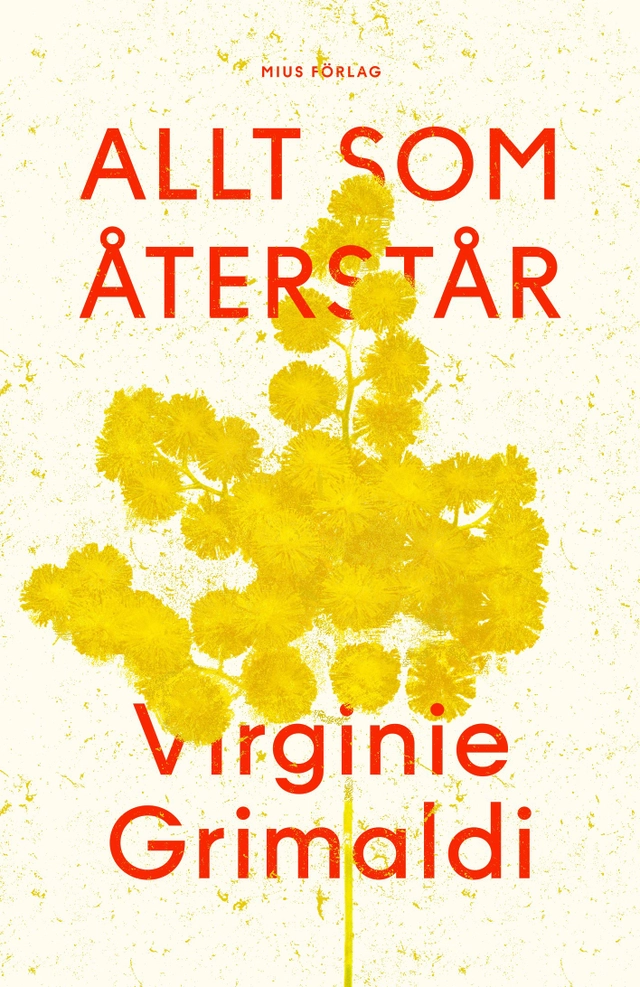 Allt som återstår; Virginie Grimaldi; 2026