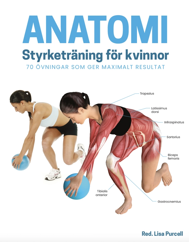 Anatomi - styrketräning för kvinnor : 70 övningar som ger maximalt resultat; Lisa Purcell; 2022