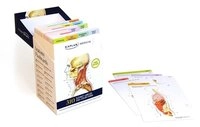 Anatomy Flashcards; Joanne Kivela Tillotson; 2017