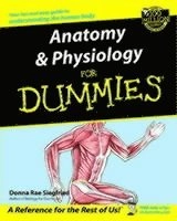 Anatomy Physiology For Dummies; Donna Rae Siegfried; 2002