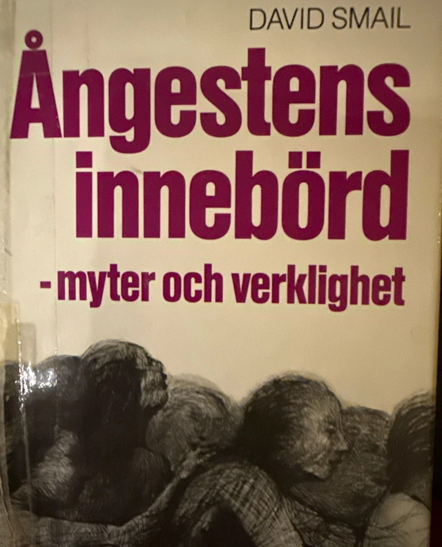 Ångestens innebörd : myter och verklighet; David Smail; 1986
