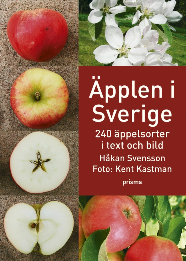 Äpplen i Sverige : 240 äppelsorter i text och bild; Håkan Svensson; 2005