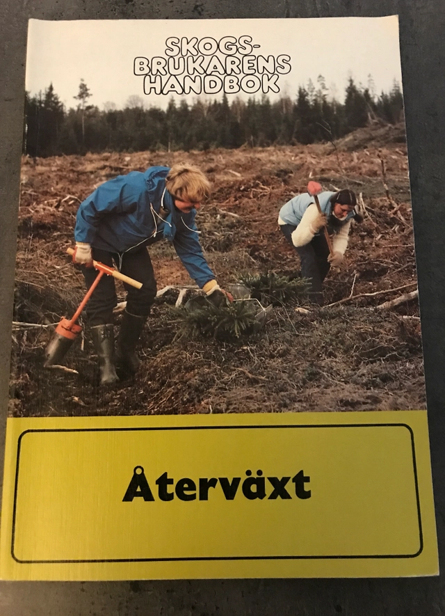 Återväxt; Sören Braf; 1983