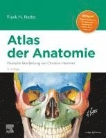 Atlas der Anatomie; Frank H. Netter; 2025