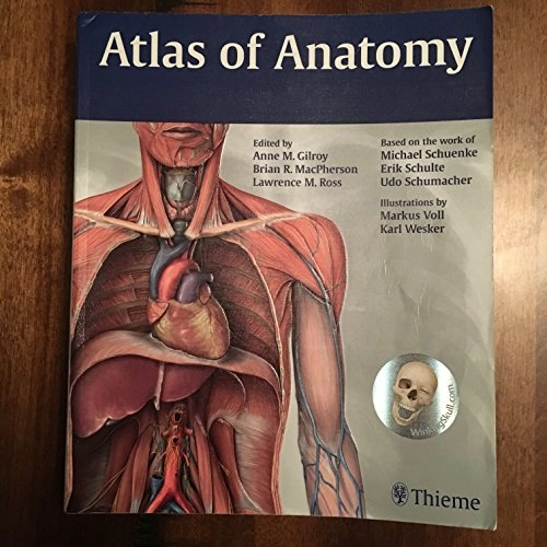 Atlas of anatomy; Anne M. Gilroy; 2008