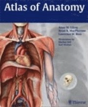 Atlas of anatomy : Latin nomenclature; Anne M. Gilroy; 2009