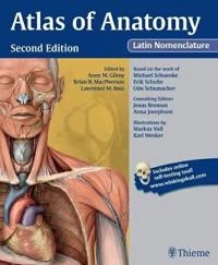 Atlas of anatomy : Latin nomenclature; , Schuenke Michael, Schulte Erik, Schumacher Udo; 2013