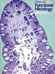 Atlas of functional histology; Jeffrey B. Kerr; 1999