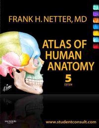 Atlas of human anatomy; Netter; 2011