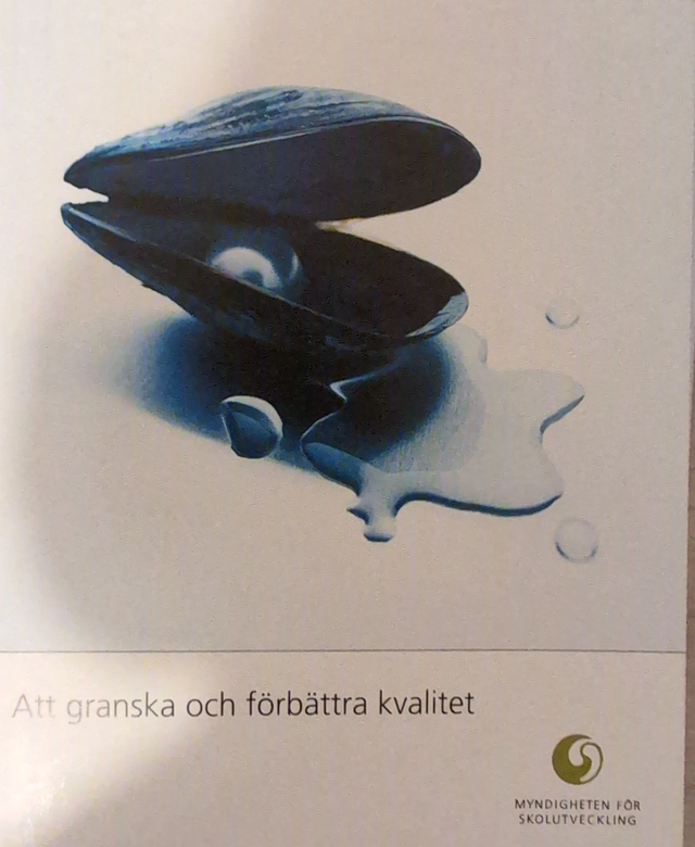 Att granska och förbättra kvalitet : om kvalitetsutveckling i skola, förskola, skolbarnsomsorg och vuxenutbildning - en översikt över aktuell forskning och utveckling samt dokumenterad erfarenhet; Myndigheten För Skolutveckling; 2003