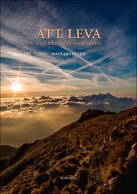 Att leva med schizoaffektivt syndrom; Mats Arndtzén; 2019