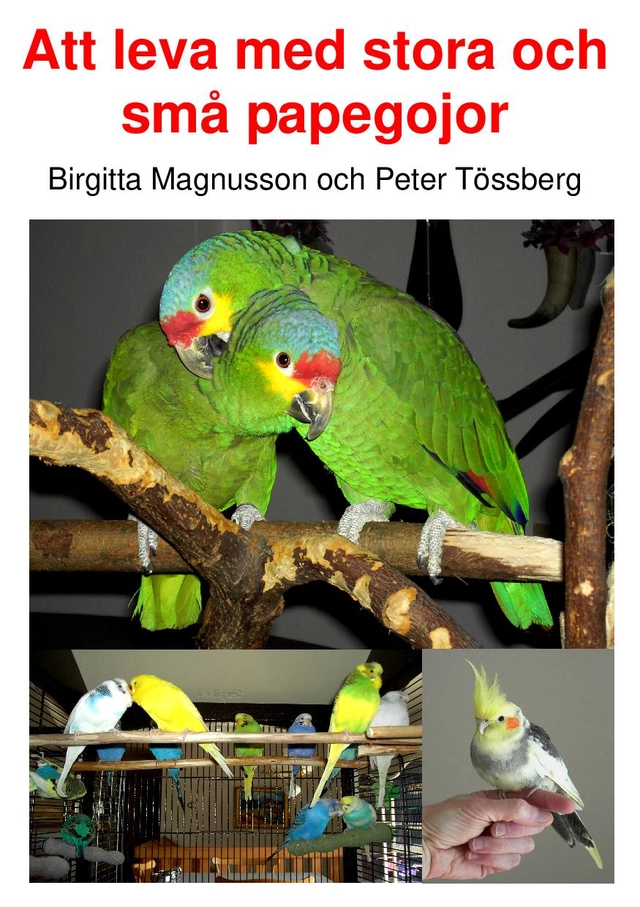 Att leva med stora och små papegojor; Peter Tössberg, Birgitta Magnusson; 2009