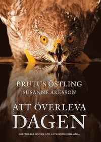 Att överleva dagen : om fåglars sinnen och anpassningsförmåga; Brutus Östling, Susanne Åkesson; 2009