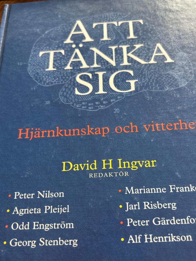 Att tänka sig : hjärnkunskap och vitterhet : [ett Berzeliusseminarium]; Peter Nilson, David H. Ingvar, Svenska läkaresällskapet, Svenska dagbladet; 1994