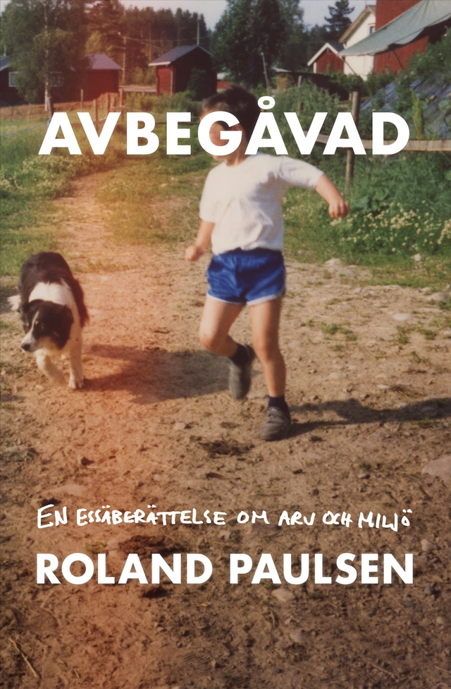 Avbegåvad : En essäberättelse om arv och miljö; Roland Paulsen; 2026
