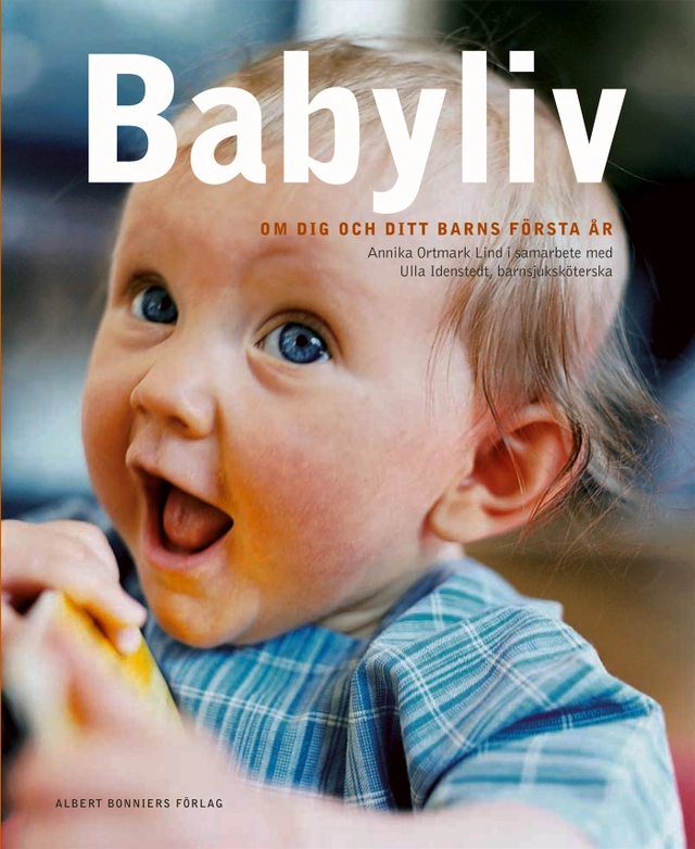 Babyliv : om dig och ditt barns första år; Annika Ortmark Lind; 2004