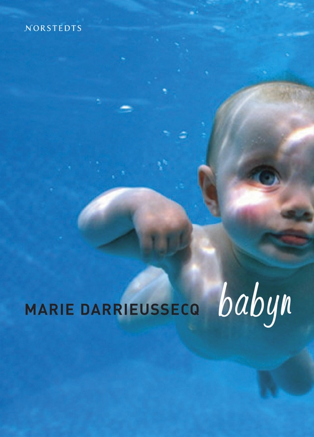 Babyn; Marie Darrieussecq; 2003