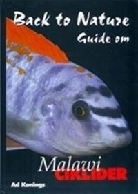 Back to Nature guide om malawiciklider; Ad Konings; 2003