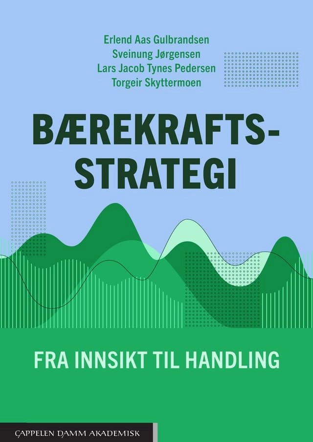 Bærekraftsstrategi : fra innsikt til handling; Erlend Aas Gulbrandsen, Sveinung Jørgensen, Lars Jacob Tynes Pedersen, Torgeir Skyttermoen; 2026
