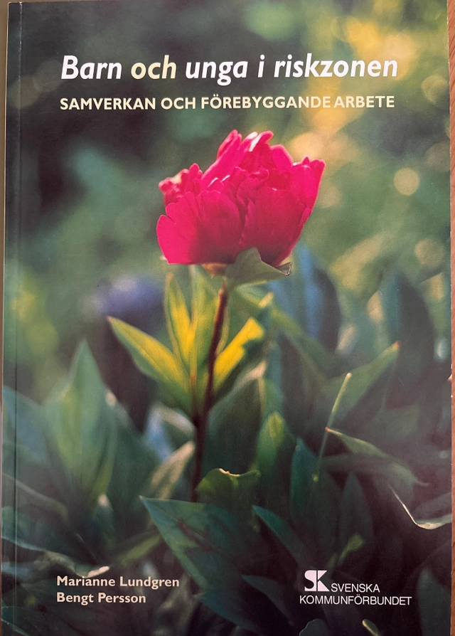 Barn och unga i riskzonen : samverkan och förebyggande arbete; Marianne Lundgren; 2003